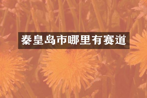 秦皇岛市哪里有赛道