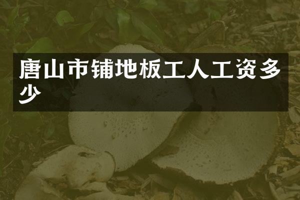 唐山市铺地板工人工资多少