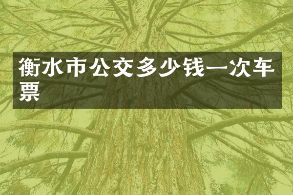 衡水市公交多少钱一次车票