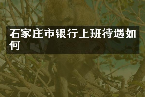 石家庄市银行上班待遇如何