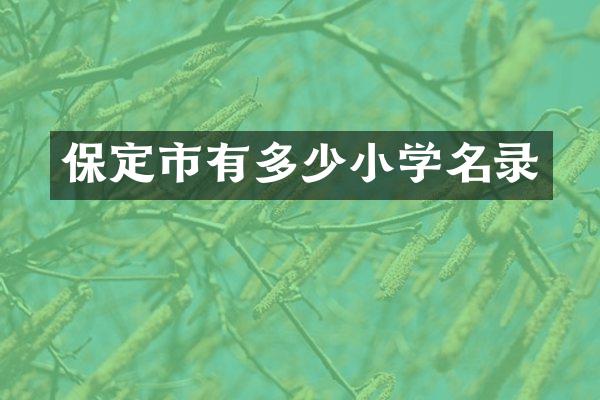 保定市有多少小学名录