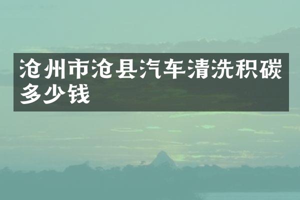沧州市沧县汽车清洗积碳多少钱