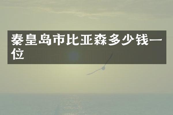 秦皇岛市比亚森多少钱一位
