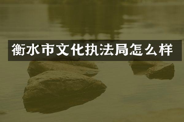 衡水市文化执法局怎么样