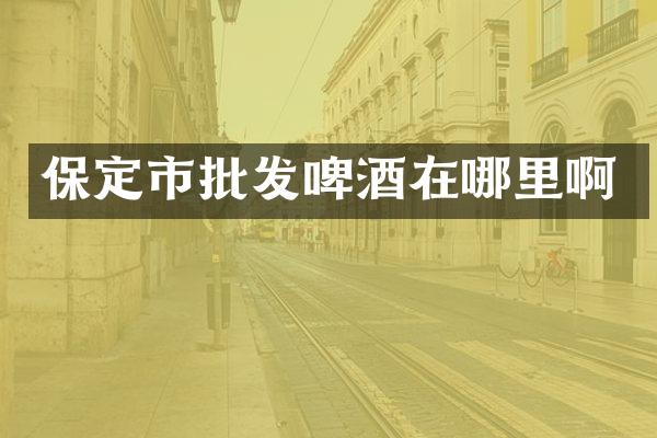 保定市批发啤酒在哪里啊