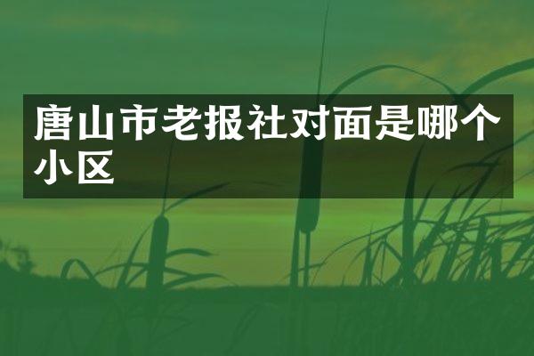 唐山市老报社对面是哪个小区