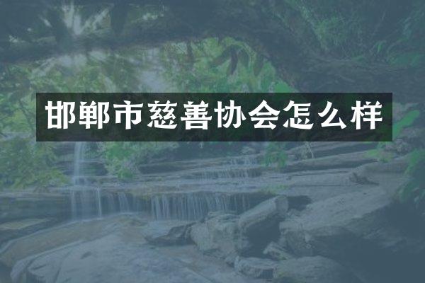 邯郸市慈善协会怎么样