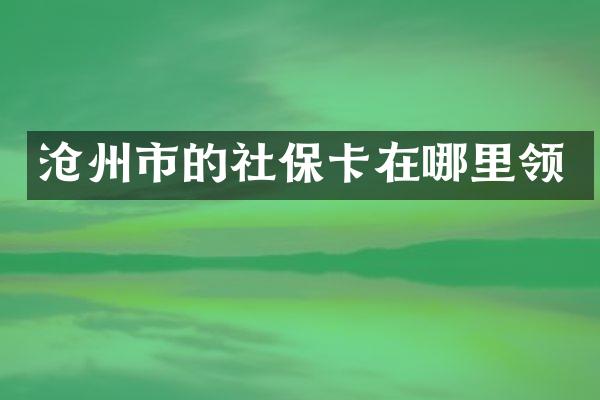沧州市的社保卡在哪里领