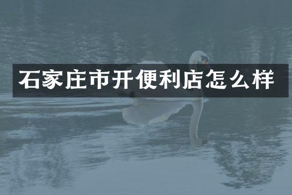 石家庄市开便利店怎么样