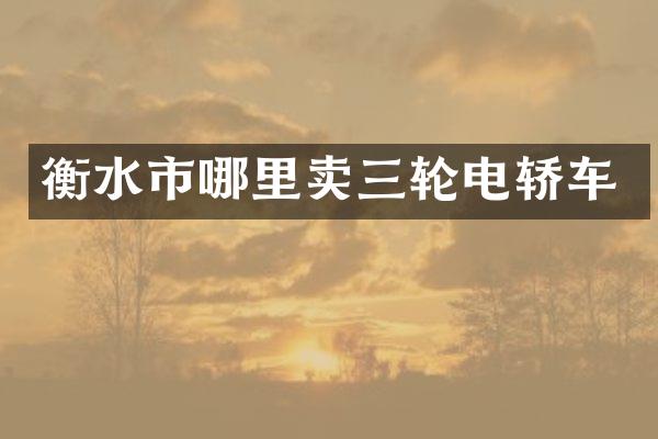 衡水市哪里卖三轮电轿车