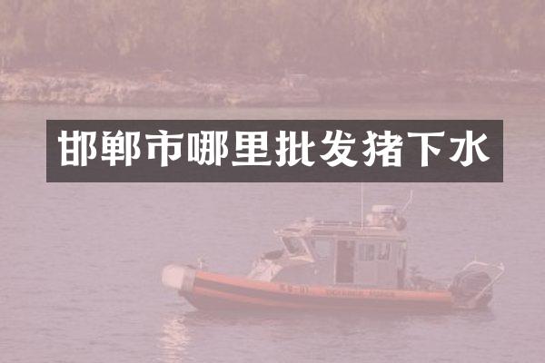 邯郸市哪里批发猪下水