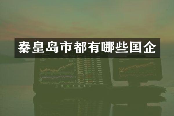 秦皇岛市都有哪些国企