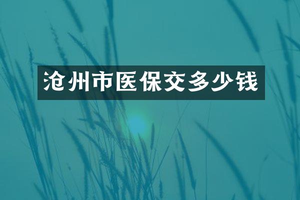 沧州市医保交多少钱