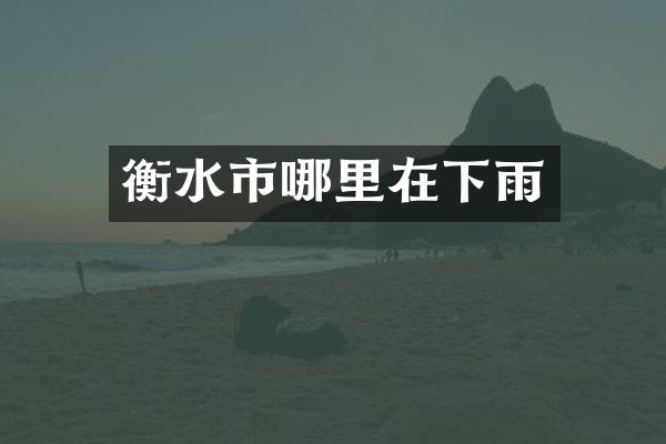 衡水市哪里在下雨