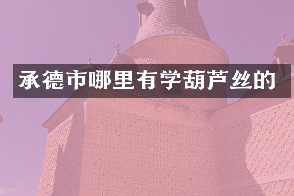承德市哪里有学葫芦丝的