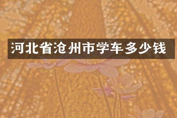 河北省沧州市学车多少钱