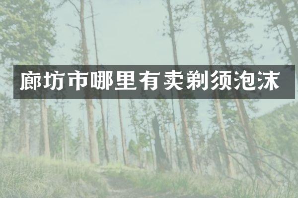 廊坊市哪里有卖剃须泡沫