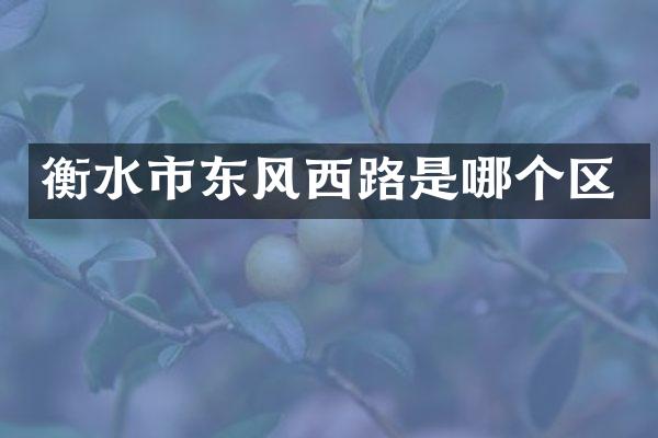 衡水市东风西路是哪个区