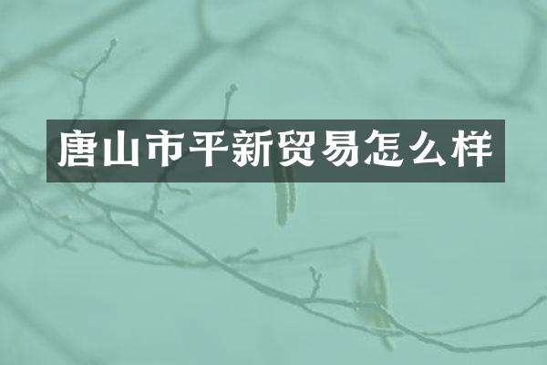 唐山市平新贸易怎么样