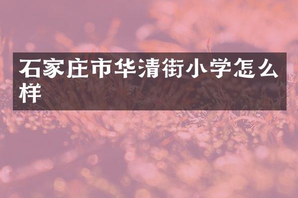 石家庄市华清街小学怎么样