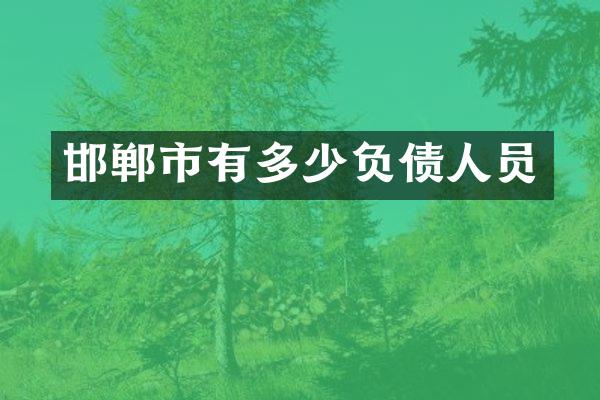 邯郸市有多少负债人员
