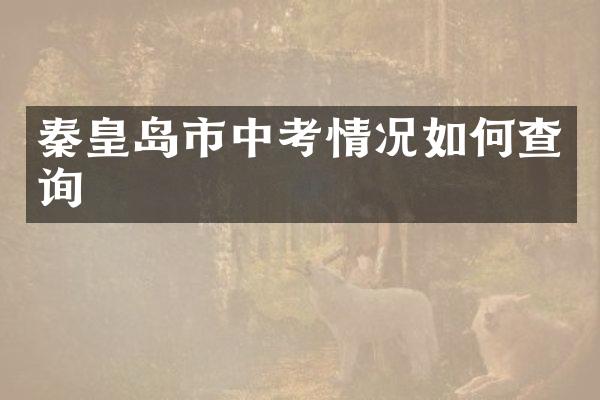 秦皇岛市中考情况如何查询
