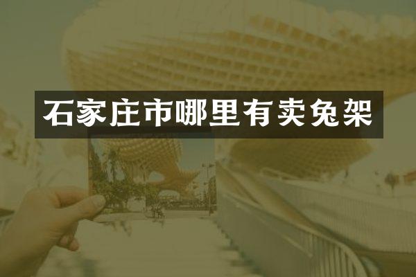 石家庄市哪里有卖兔架