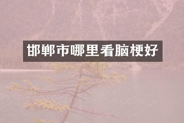 邯郸市哪里看脑梗好