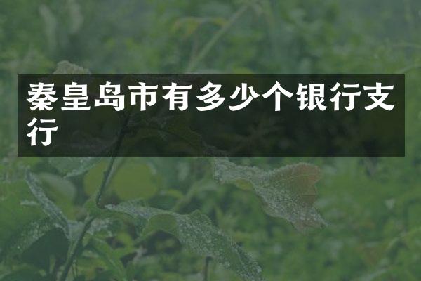 秦皇岛市有多少个银行支行
