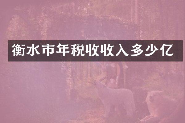 衡水市年税收收入多少亿
