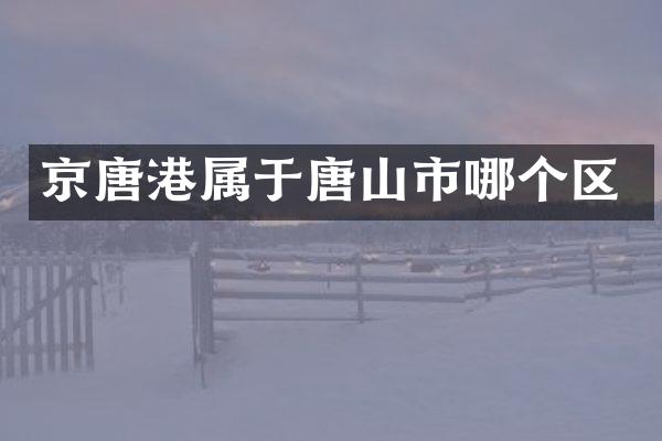 京唐港属于唐山市哪个区