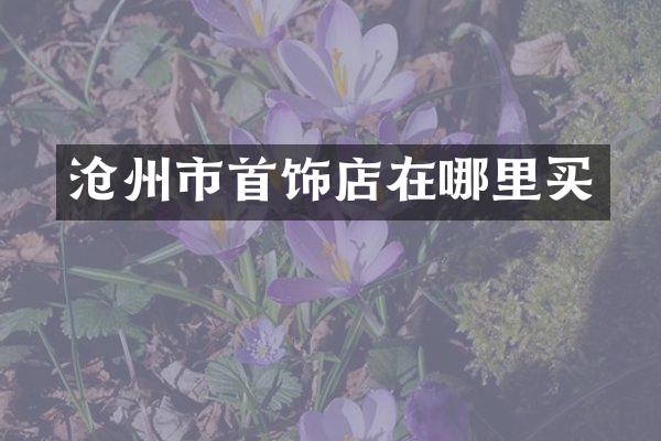 沧州市首饰店在哪里买