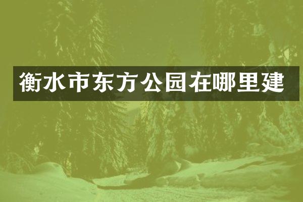 衡水市东方公园在哪里建