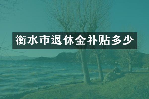 衡水市退休金补贴多少