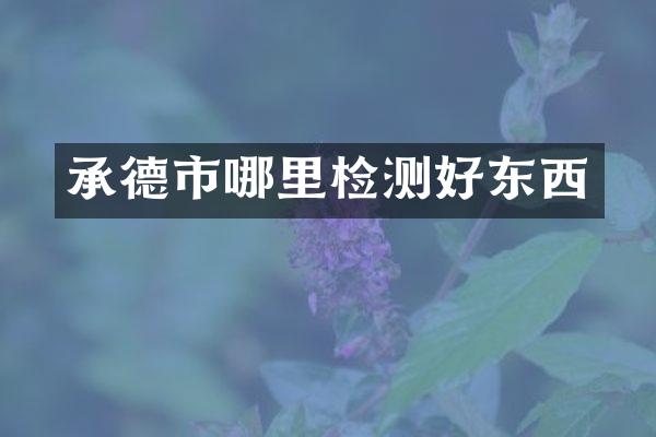 承德市哪里检测好东西