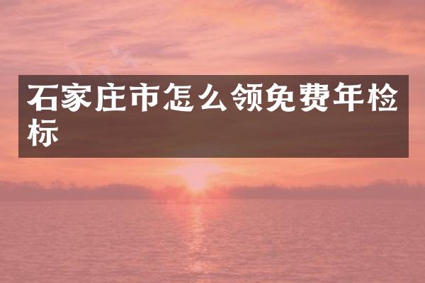 石家庄市怎么领免费年检标