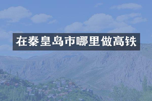 在秦皇岛市哪里做高铁