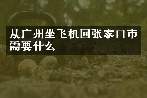 从广州坐飞机回张家口市需要什么