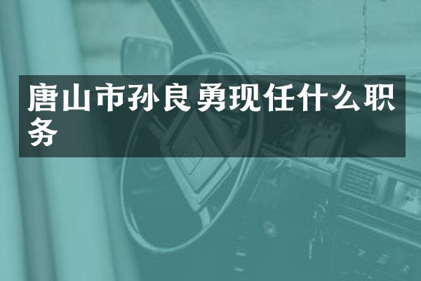 唐山市孙良勇现任什么职务