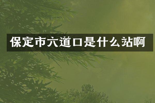 保定市六道口是什么站啊