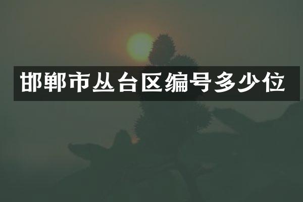 邯郸市丛台区编号多少位