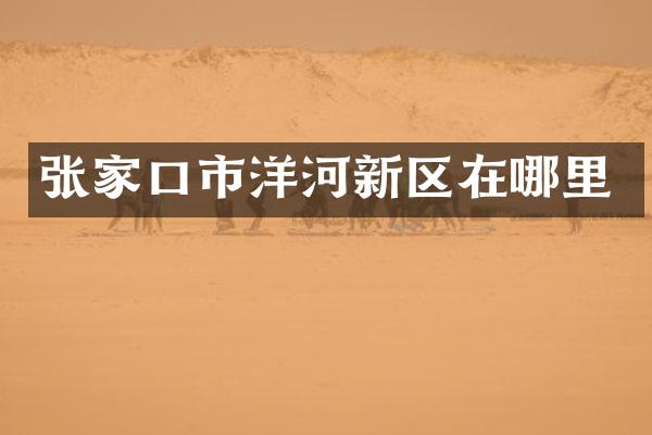 张家口市洋河新区在哪里
