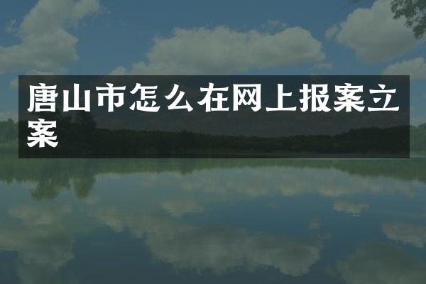 唐山市怎么在网上报案立案