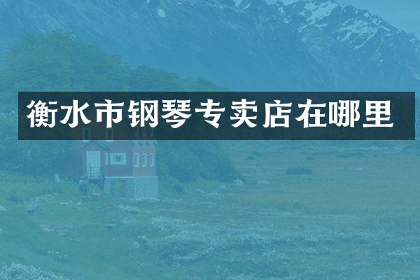 衡水市钢琴专卖店在哪里