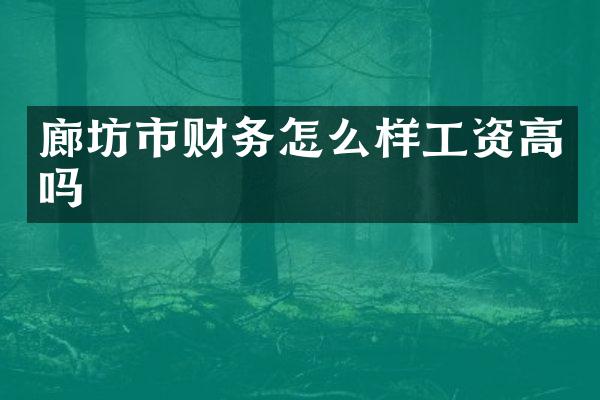 廊坊市财务怎么样工资高吗