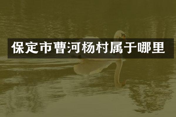 保定市曹河杨村属于哪里