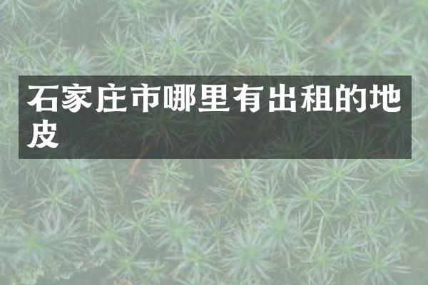 石家庄市哪里有出租的地皮