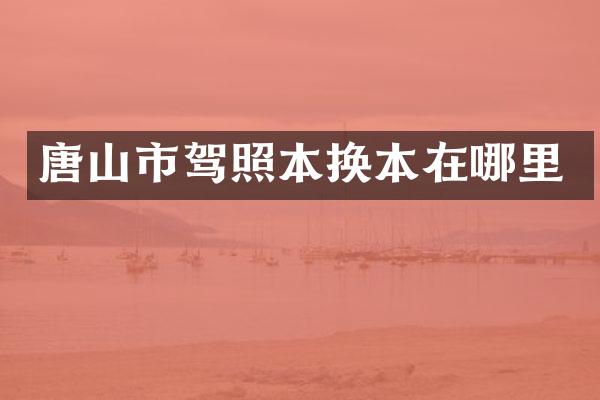 唐山市驾照本换本在哪里