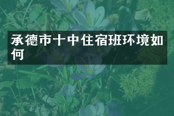 承德市十中住宿班环境如何