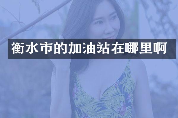 衡水市的加油站在哪里啊